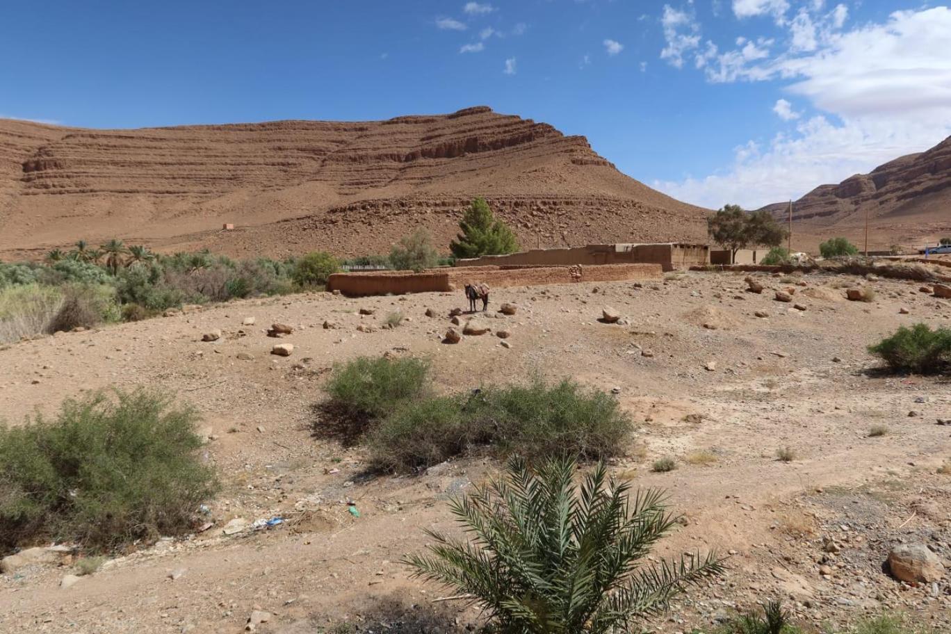 Gite D'Etape Ziz Oasis Achbarou Exterior photo