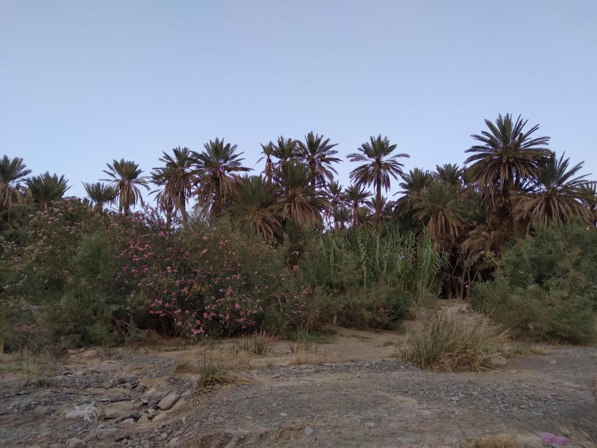Gite D'Etape Ziz Oasis Achbarou Exterior photo