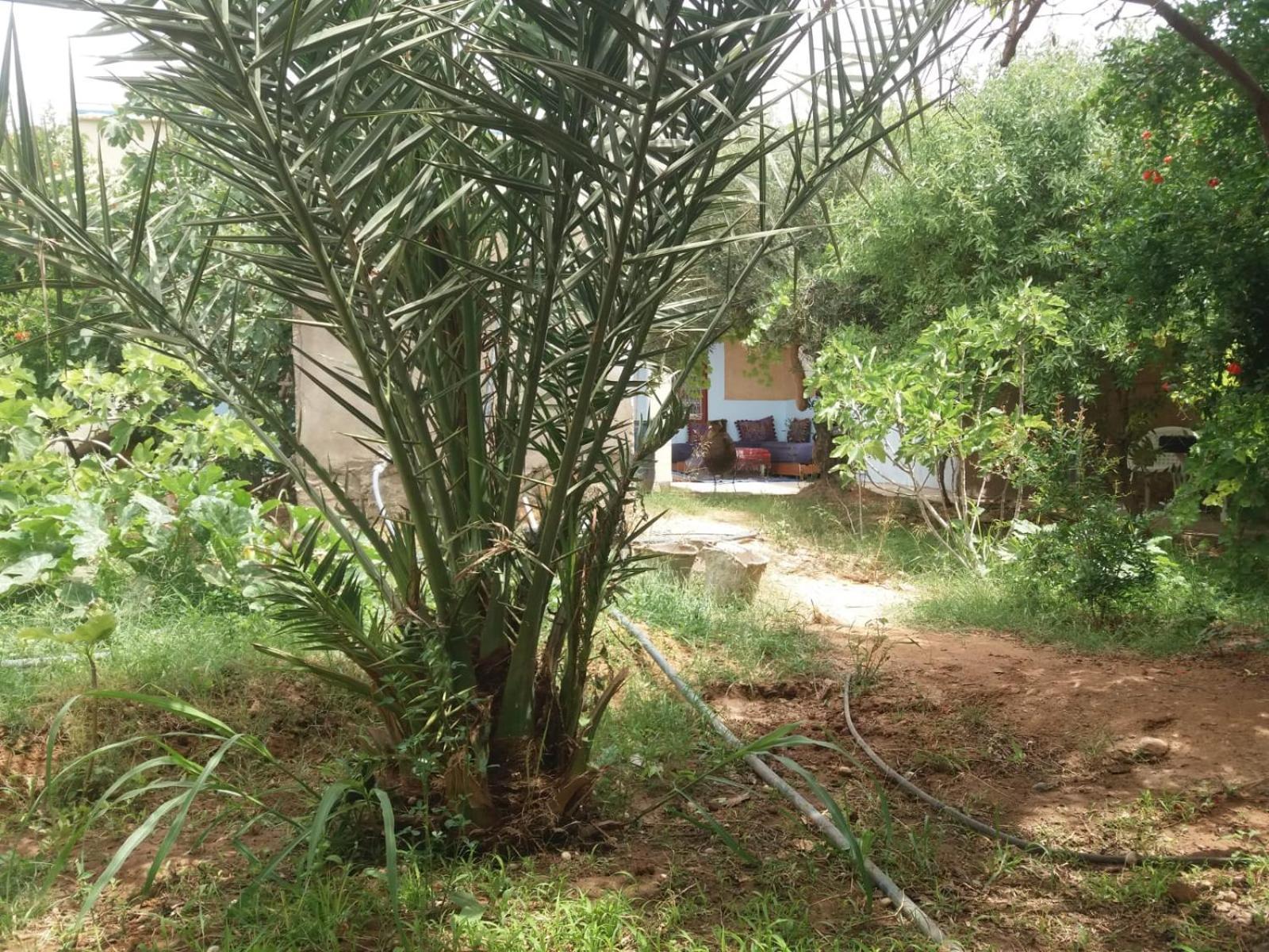 Gite D'Etape Ziz Oasis Achbarou Exterior photo